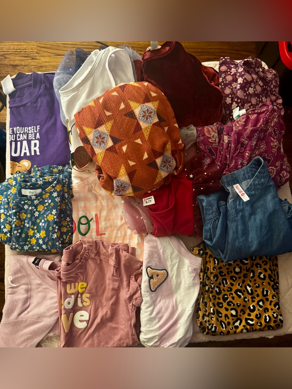 14 pieces of girls clothing: 5 shirts, 7 dresses, 2 more all 6-7
